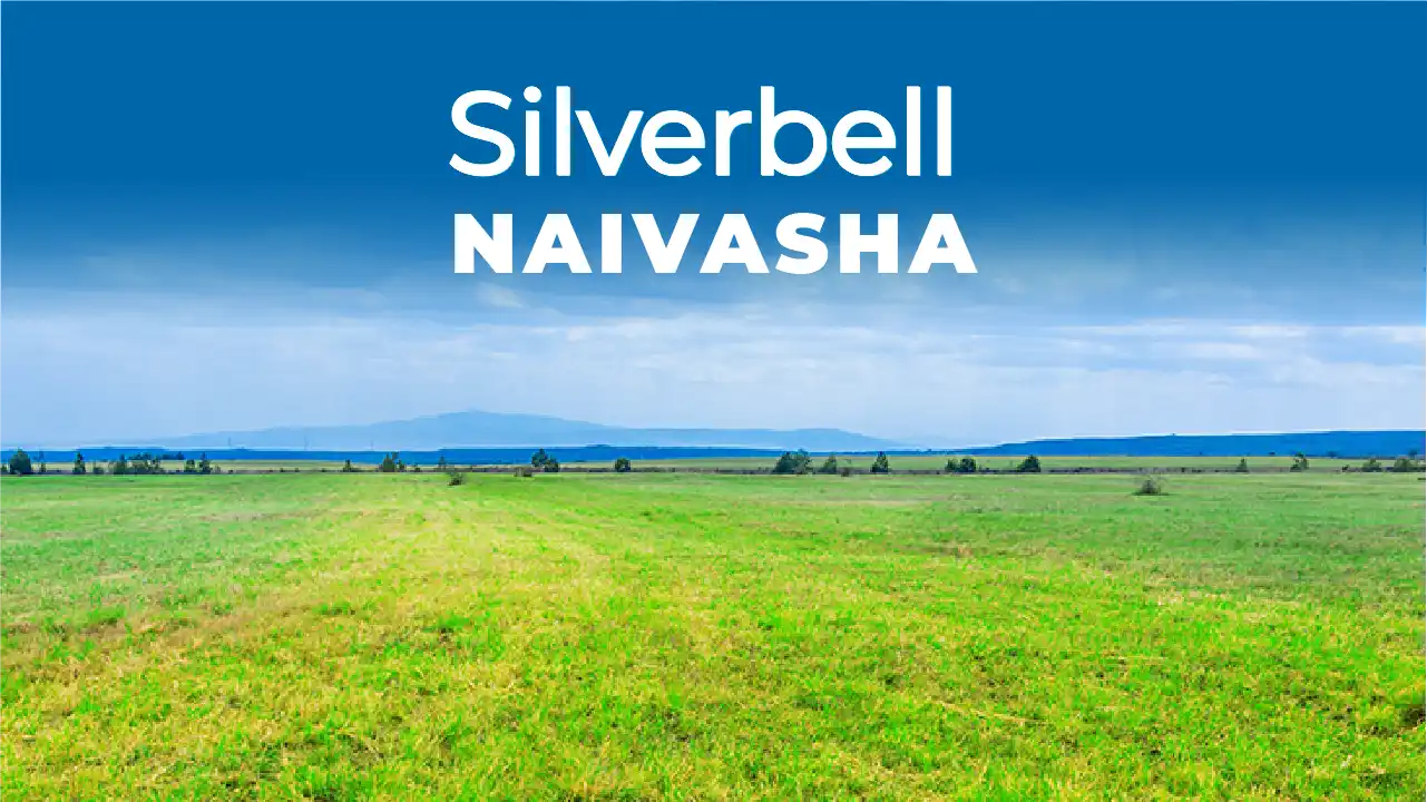 Land for sale Naivasha Silverbell Naivasha