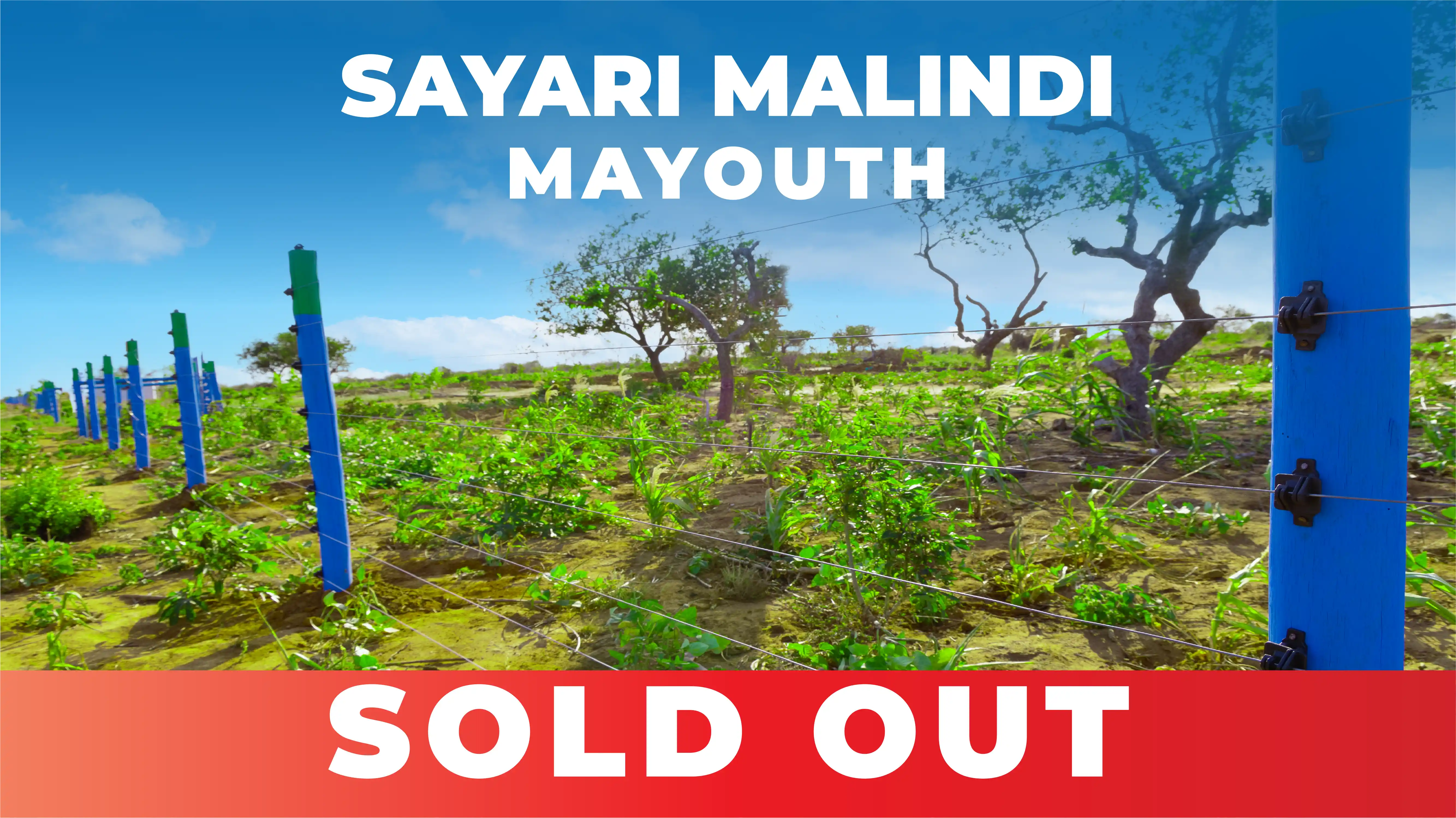 Land for Sale Malindi Sayari Gardens Mayouth