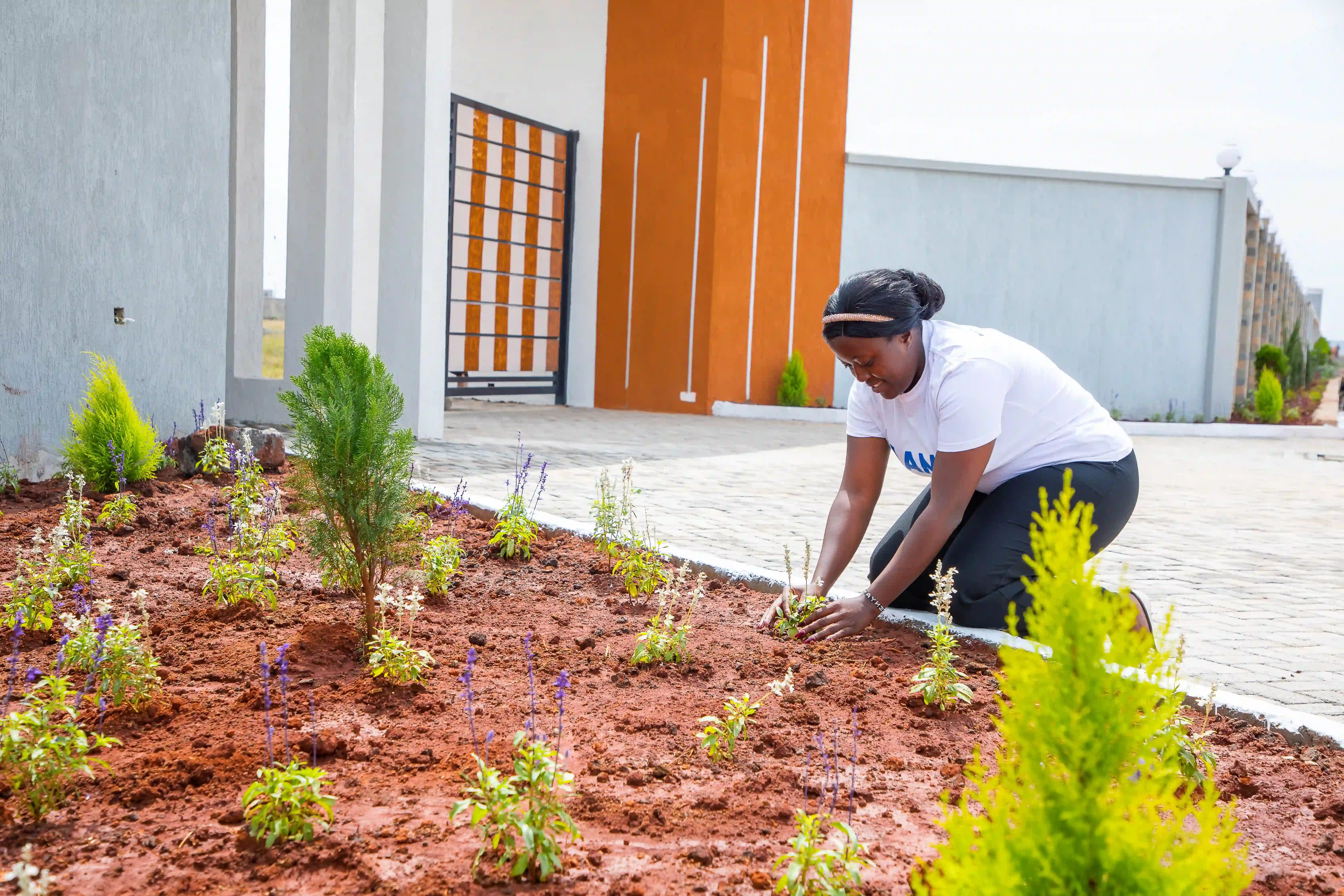 Juja Prime Phase 11 gate closeup 2