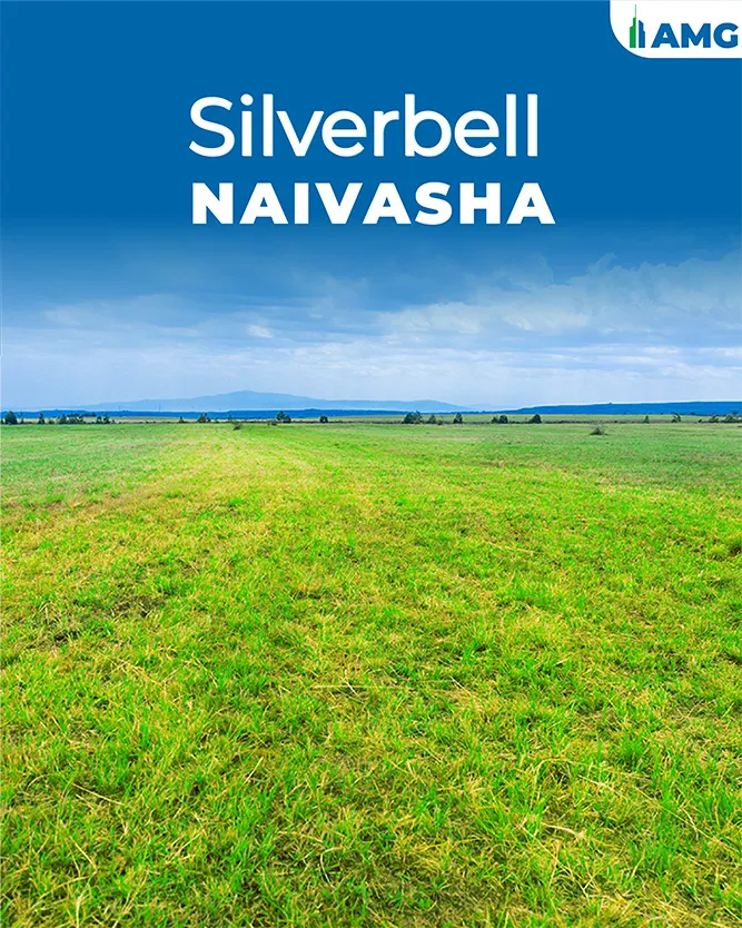 Land for sale Naivasha Silverbell Naivasha